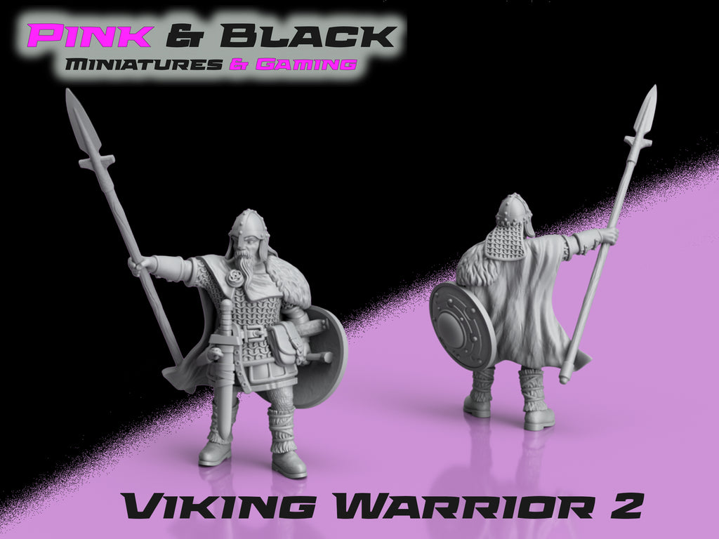 Viking Warriors