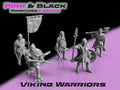 Viking Warriors