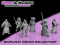 Samurai Ronin
