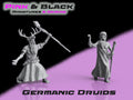 Ancient Germanic Druids